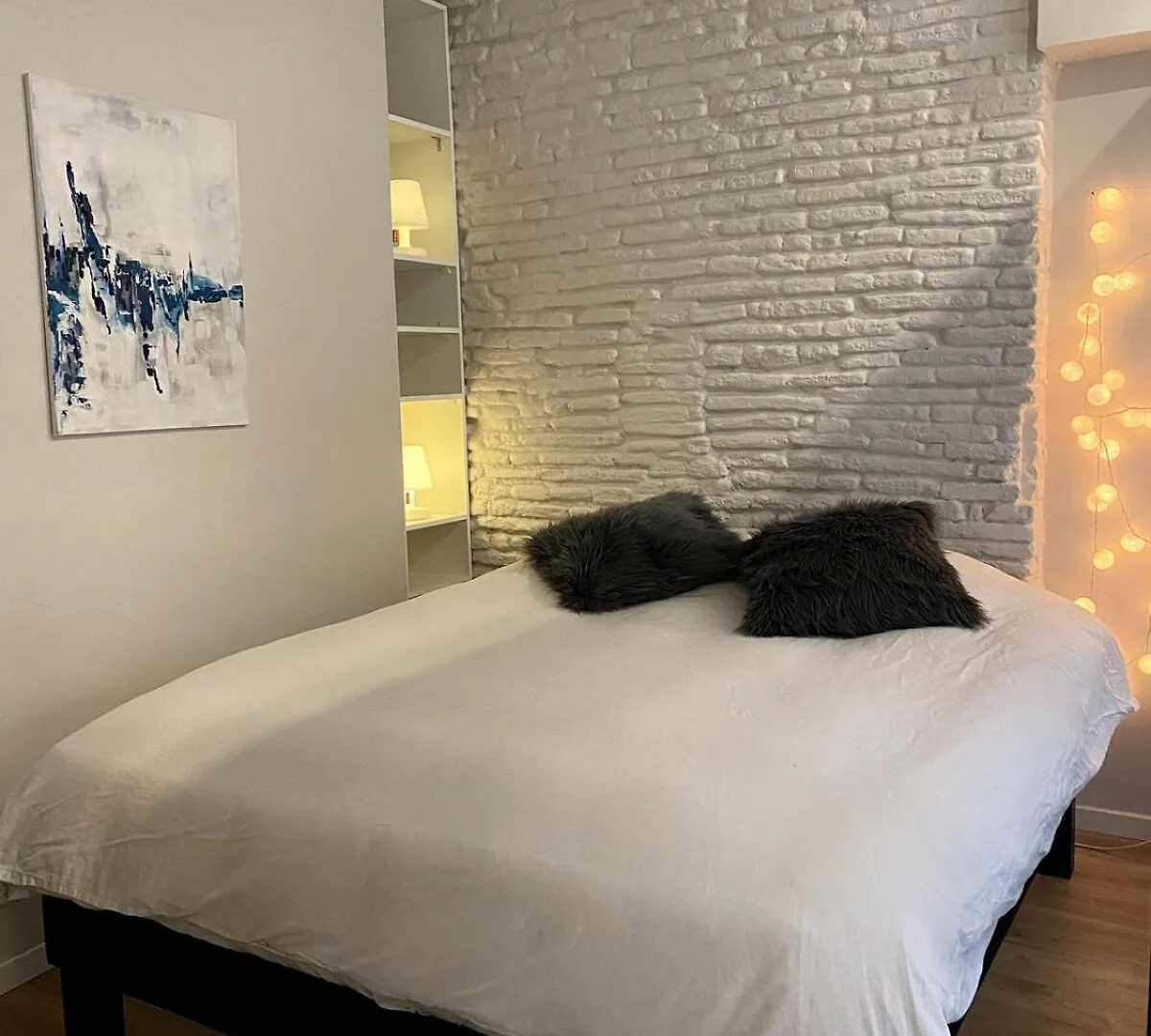 T2 Historic District Of Carmes Apartman Toulouse